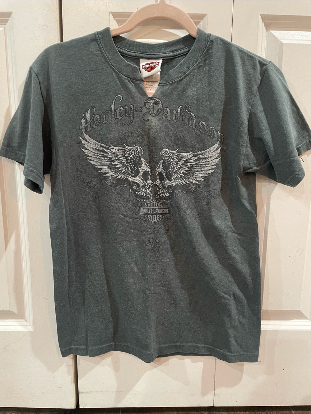 Harley-Davidson Men's Gray Skull Graphic Tee